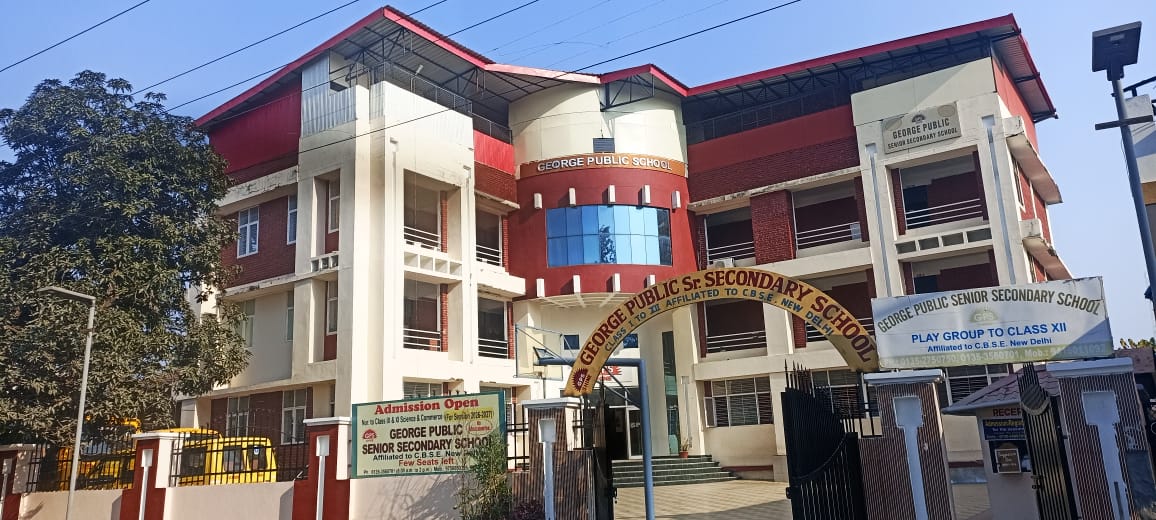 George Public School